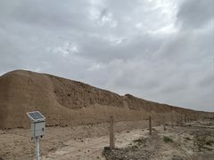-金塔沙漠胡杨林景区