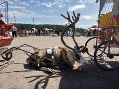 -塞罕坝国家级自然保护区