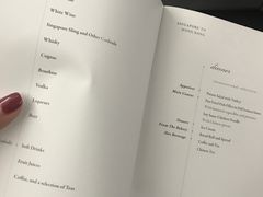 -新加坡航空公司(ION)