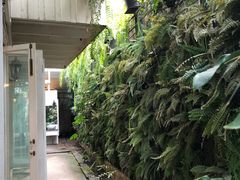 -Fern Forest Cafe