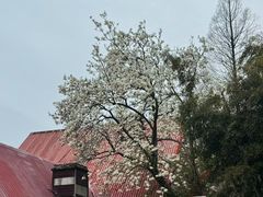 -莫干山风景区