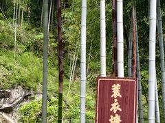 -安吉龙王山风景区