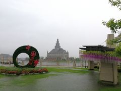-荷兰花海