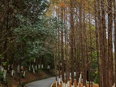 -天生桥景区