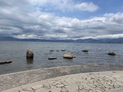 -洱海月湿地公园