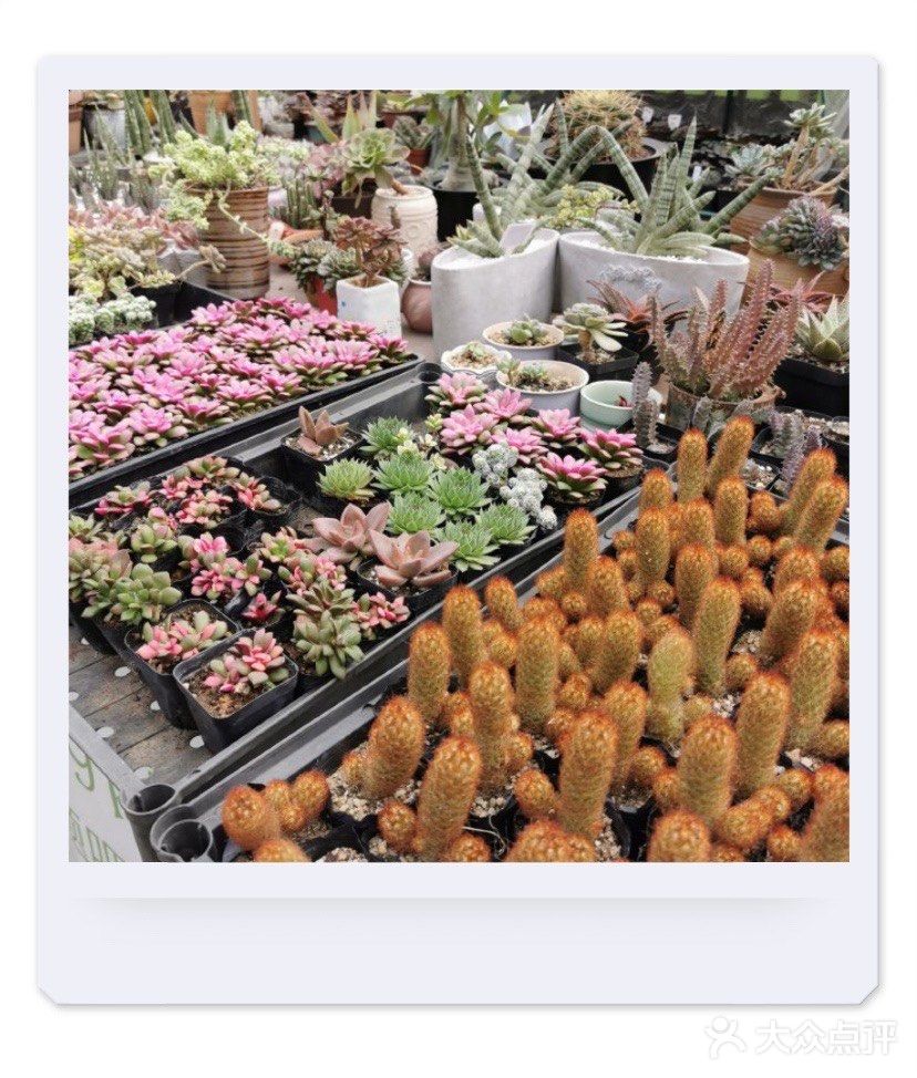 来天空农场可好？☁️