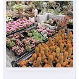 来天空农场可好？☁️