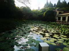 -上海怡沁园度假酒店