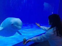 -多彩贵州城极地海洋世界