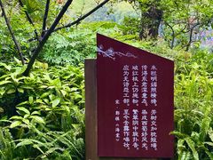 -棠湖公园