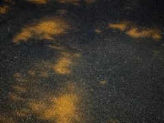 -叁拾壹丨浮世绘x壹拾叁沉浸演绎剧场