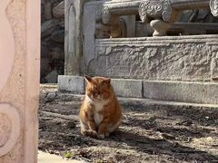 -潭柘寺景区