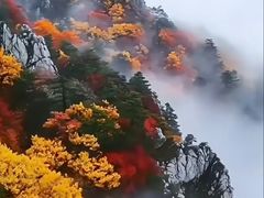 -四明山国家森林公园