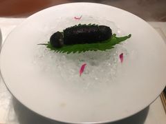 -觀芷隐轩