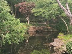 -秋霞圃