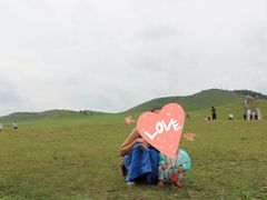 -乌兰布统草原