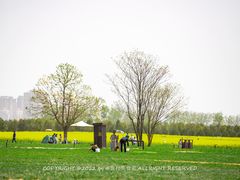 -汉长安城未央宫国家考古遗址公园