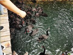 -长白岛森林公园