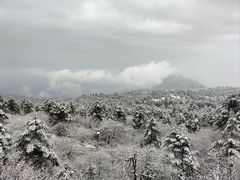-峨眉山风景名胜区