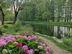 -上海共青森林公园