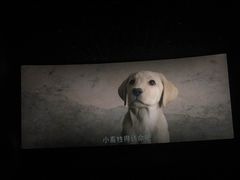 -保利国际影城杭州中南店