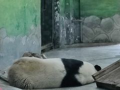 -临沂动植物园