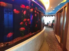 -黄金海景大酒店-旋转餐厅
