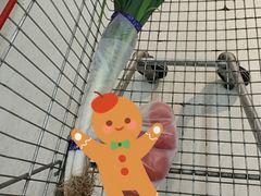 -卜蜂莲花(辽阳西路店)