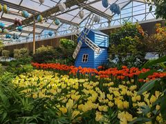 -南宫五洲植物乐园