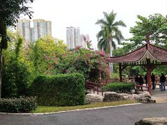 -晓港公园