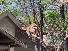 -石家庄市动物园