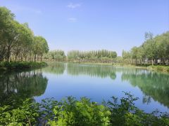 -香山公园
