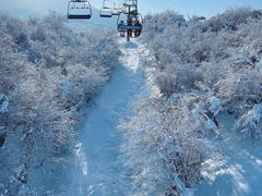 -太子岭滑雪场