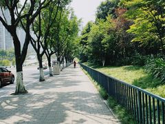 -龙头寺公园