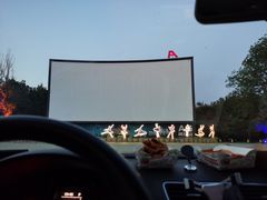 -枫花园汽车电影院(朝阳公园店)