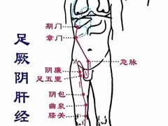 -裕和堂中医推拿艾灸(太古汇臻品店)