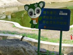 -锦绣公园