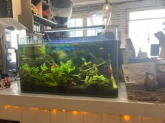 -一杯海(国际海水浴场店)