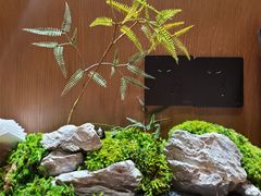 -水之惠鲜鱼料理(王府大街店)