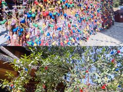 -西双版纳原始森林公园