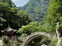 -陕西省红河谷森林公园