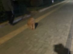 -寻香羊小羊·徐州烧烤(南京店)