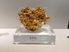 -中国地质博物馆