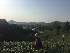 -帐篷客·溪龙茶谷度假酒店