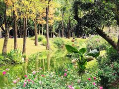 -人民公园(罗湖区)