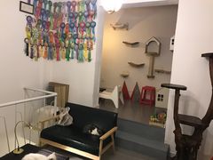-豆老板的猫咖啡(碑林博物馆店)