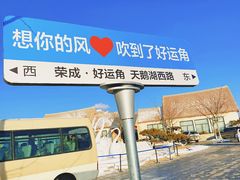 -烟墩角天鹅湖