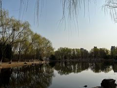 -东升八家郊野公园