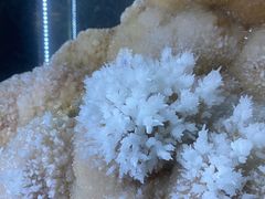 -湖南省地质博物馆