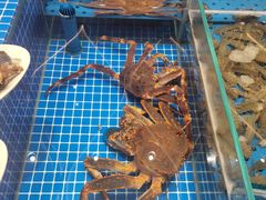 -大连湾旭日·家宴·海肠捞饭(马栏广场店)